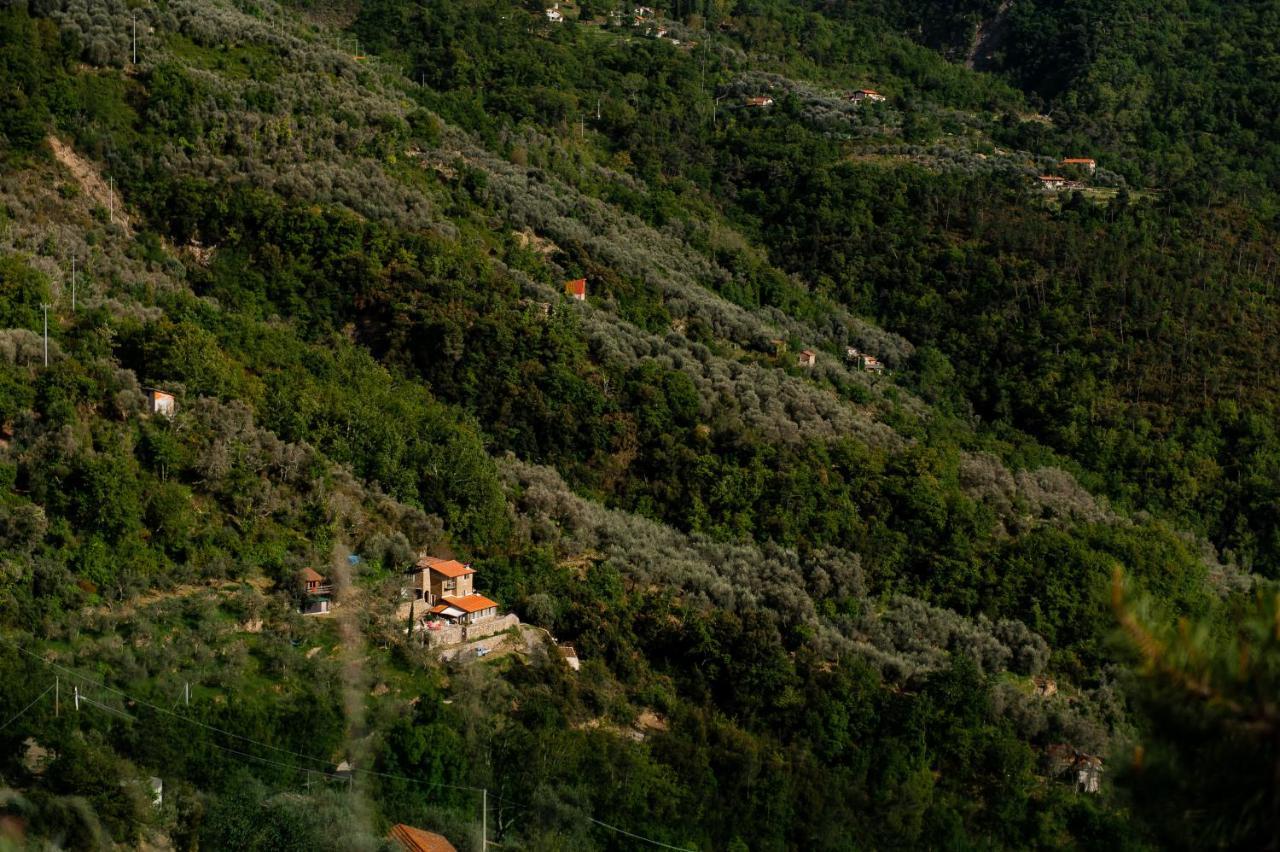 Nostro Rifugio Villa Априкале Екстериор снимка