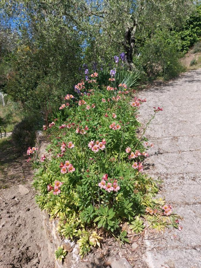 Nostro Rifugio Villa Априкале Екстериор снимка