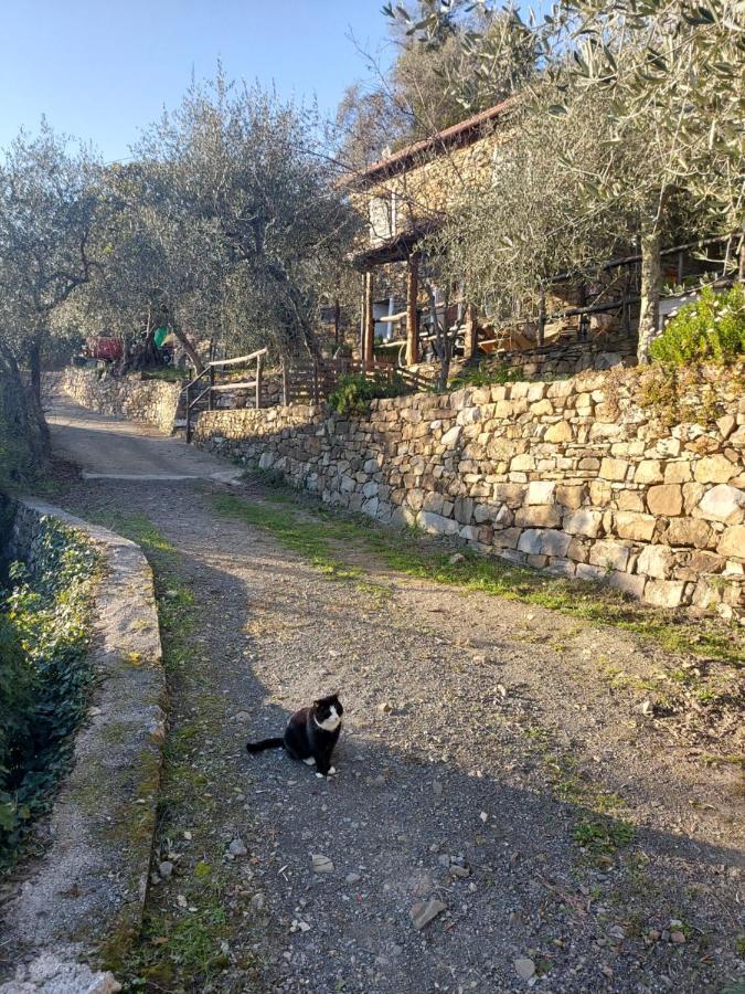 Nostro Rifugio Villa Априкале Екстериор снимка