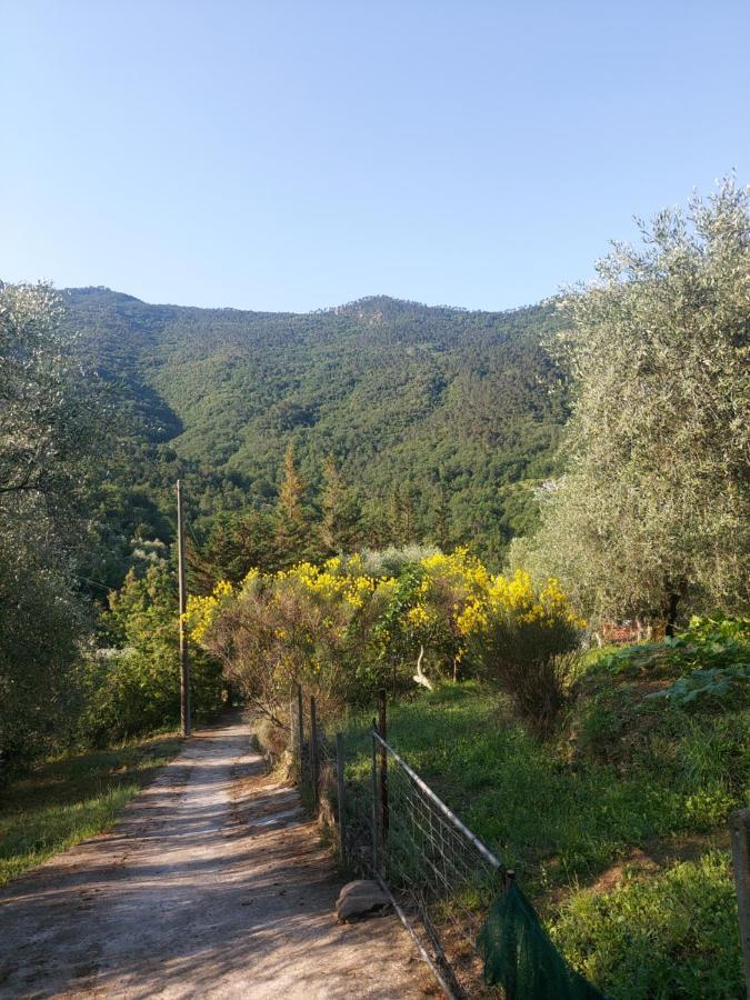 Nostro Rifugio Villa Априкале Екстериор снимка
